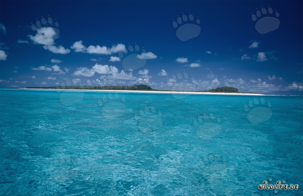 Lagon idyllique à Midway Atoll sous un ciel bleu profond