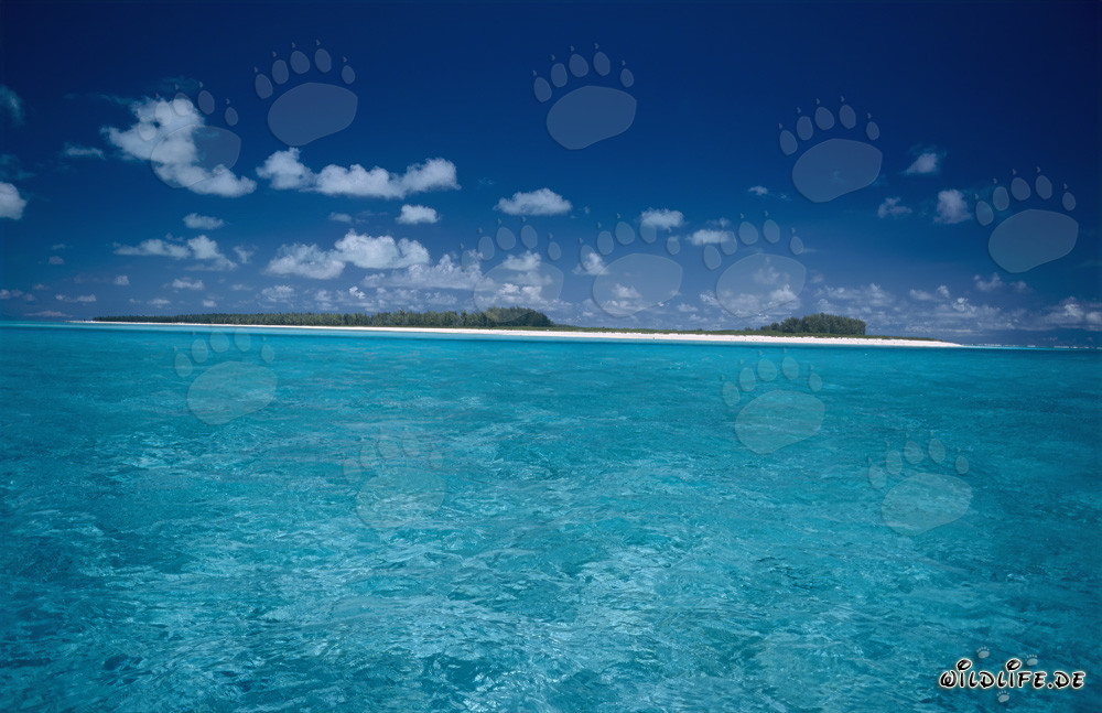 Laguna idílica en Midway Atoll bajo un cielo azul profundo