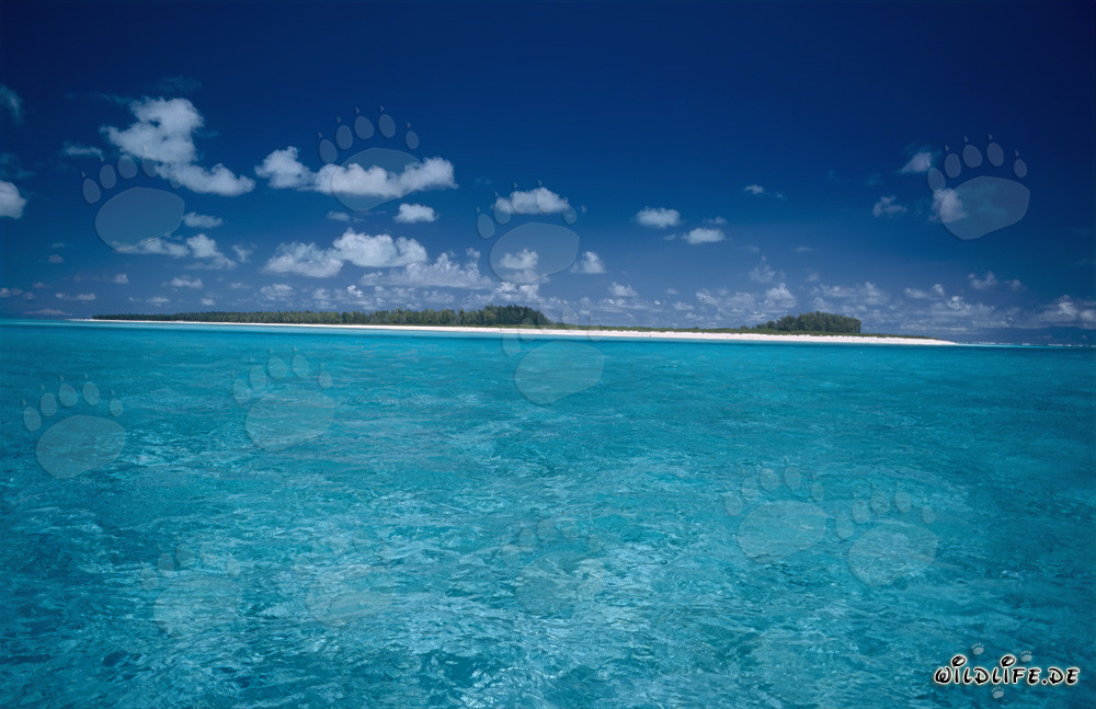 Laguna idilliaca a Midway Atoll sotto un cielo blu profondo
