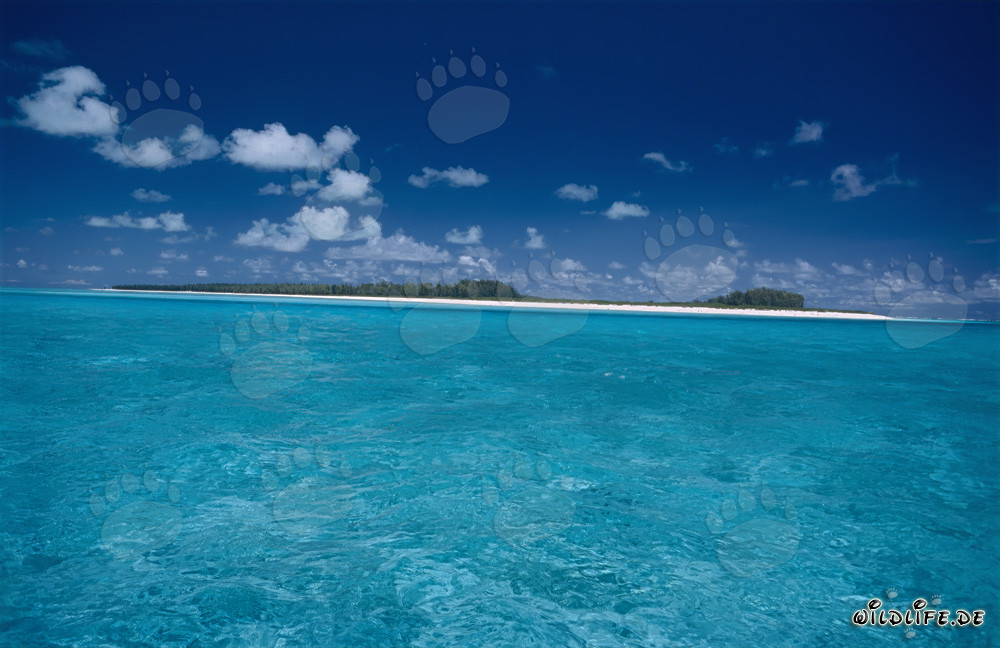 Dream Destination South Seas: Idyllic Lagoon on Midway Atoll