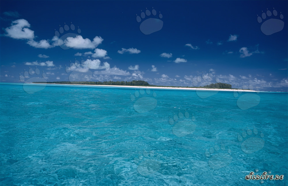 Destination de rêve : Lagune idyllique sur l'atoll de Midway