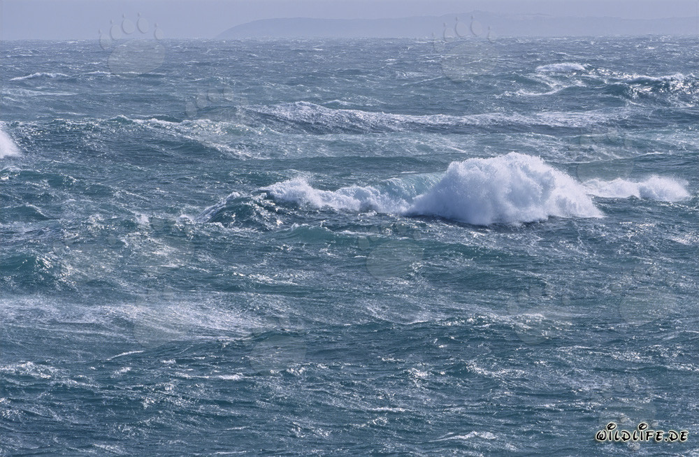 Tempesta furiosa in mare al Capo Agulhas