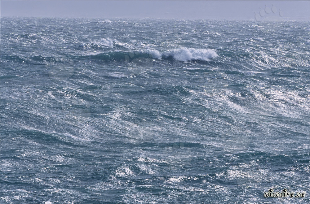 Mar embravecido en el Cabo de Agulhas en Sudáfrica