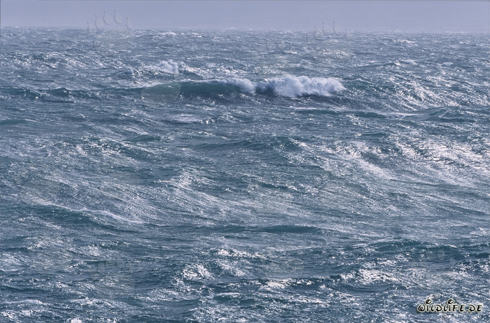 Mer agitée au Cap Agulhas en Afrique du Sud