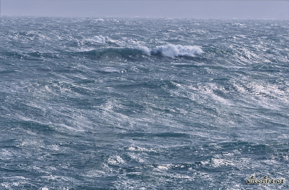 Roaring sea at Cape Agulhas in South Africa