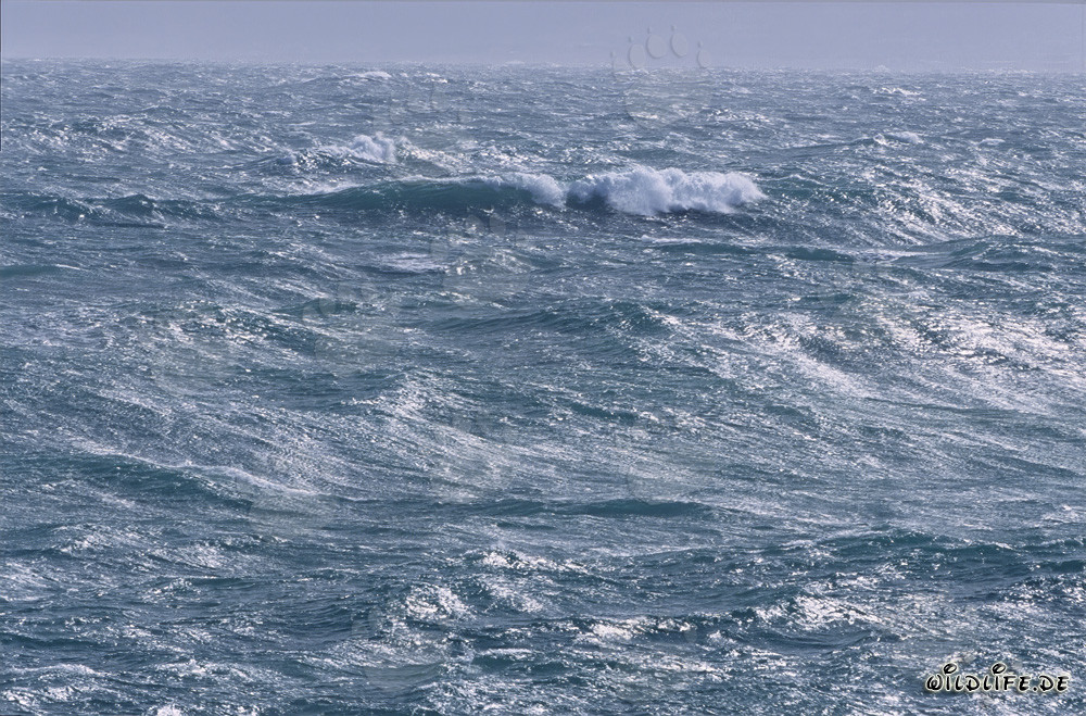 Tosende See am Kap Agulhas in Südafrika