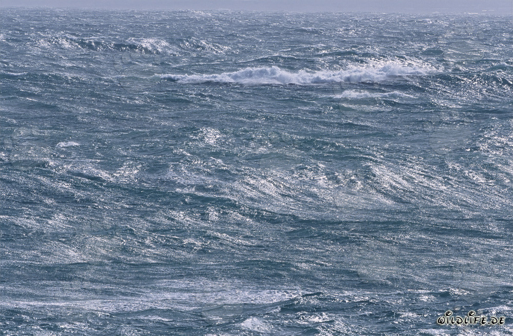Mar tempestuoso en el extremo sur de África