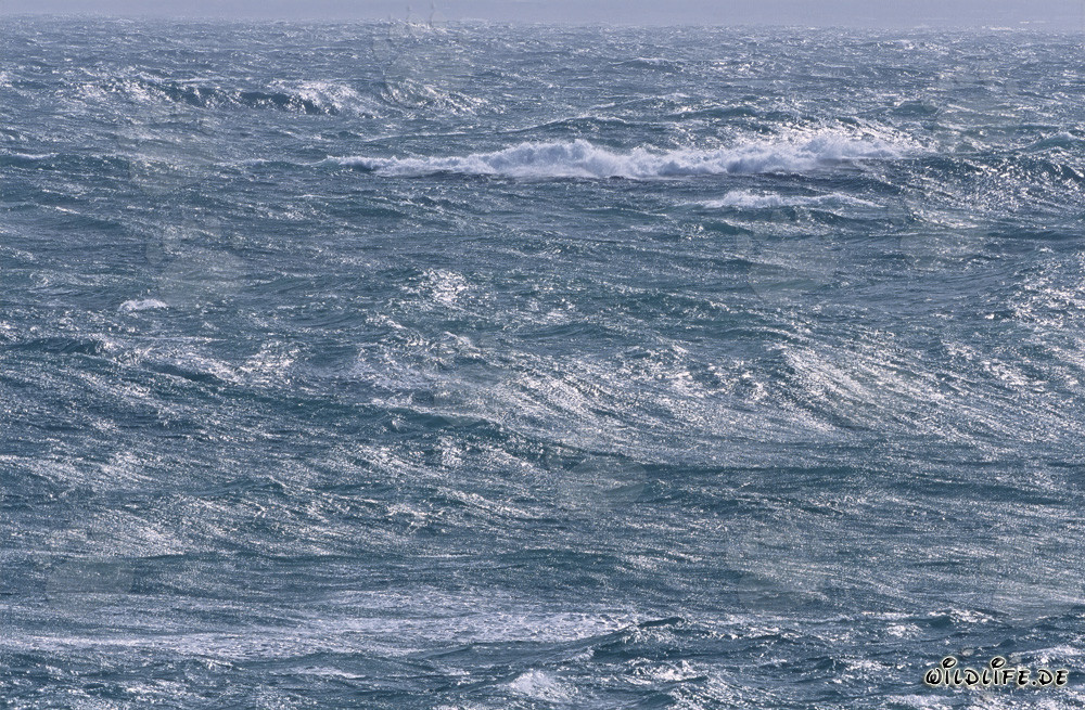 Mare tempestoso all'estremità meridionale dell'Africa