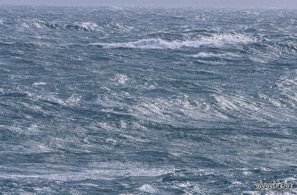 Stormy Sea at the Southern Tip of Africa