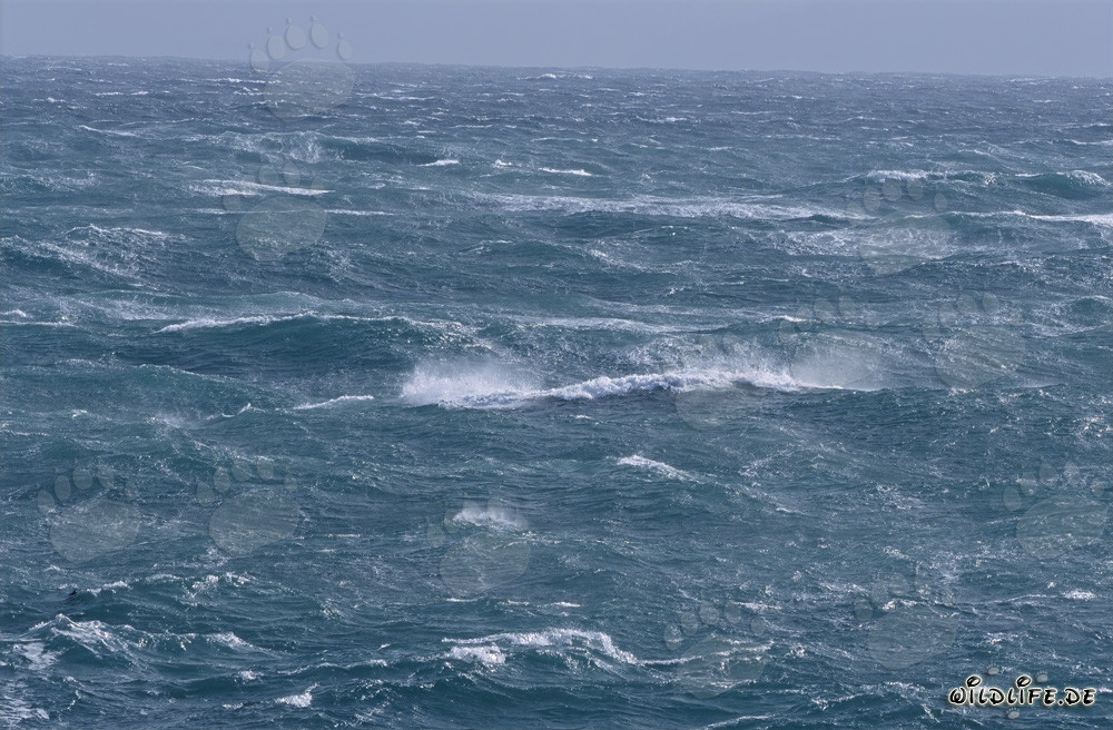Mar agitado en el Cabo de las Agujas, Sudáfrica