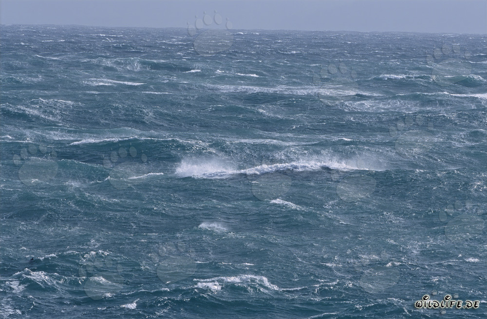 Mare agitato al Capo delle Aghi, Sudafrica