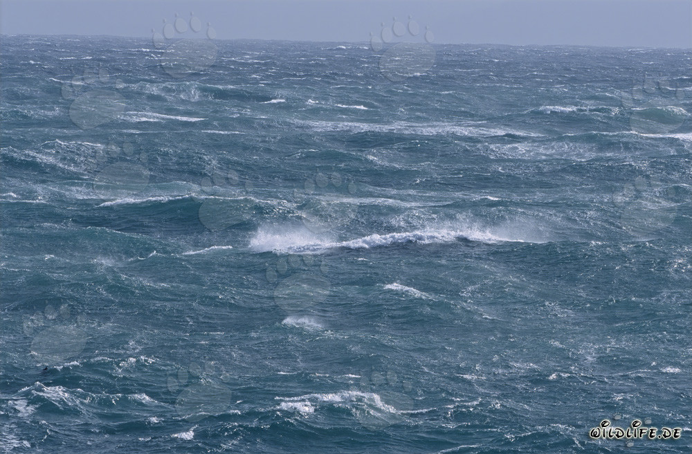 Mer agitée au Cap des Aiguilles, Afrique du Sud
