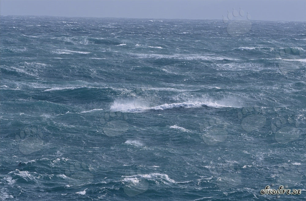 Stormy Sea at Africa's Southern Tip