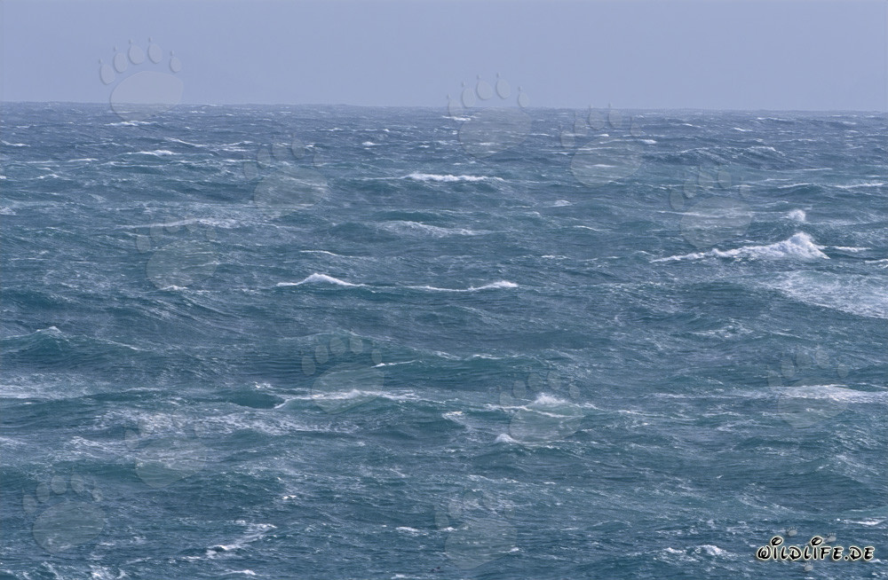 Stormy Atlantic at Cape Agulhas, South Africa