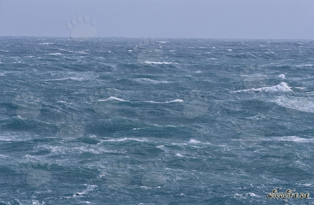 Stürmischer Atlantik vor Kap Agulhas, Südafrika