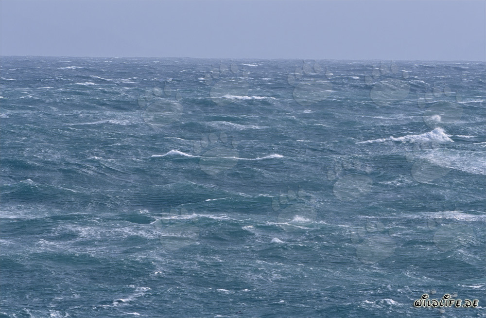 Atlantico tempestoso di fronte al Capo Agulhas, Sudafrica