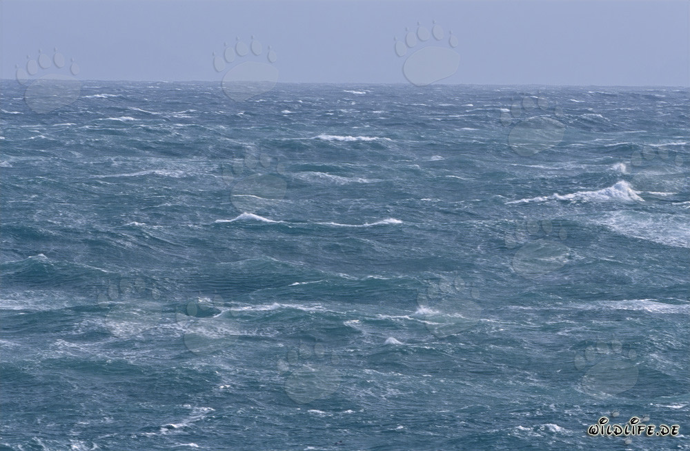 Atlántico tormentoso frente al Cabo de Agulhas, Sudáfrica
