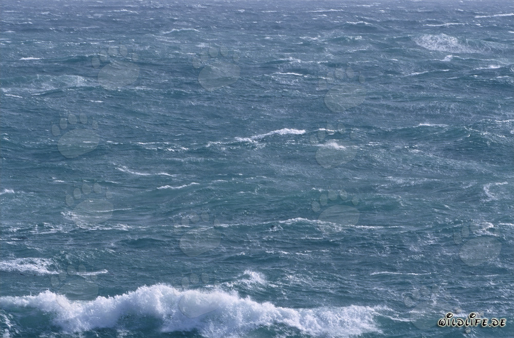 Storm at the Southern Tip of Africa