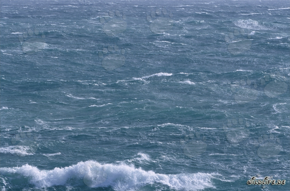 Sturm an der Südspitze Afrikas