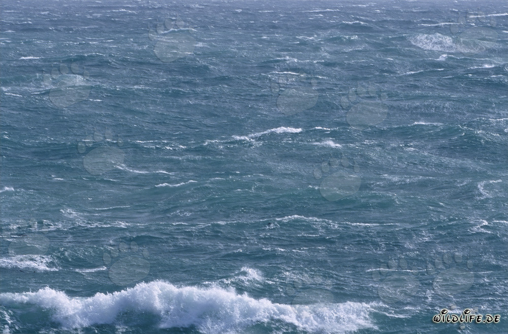Tempesta alla punta meridionale dell'Africa