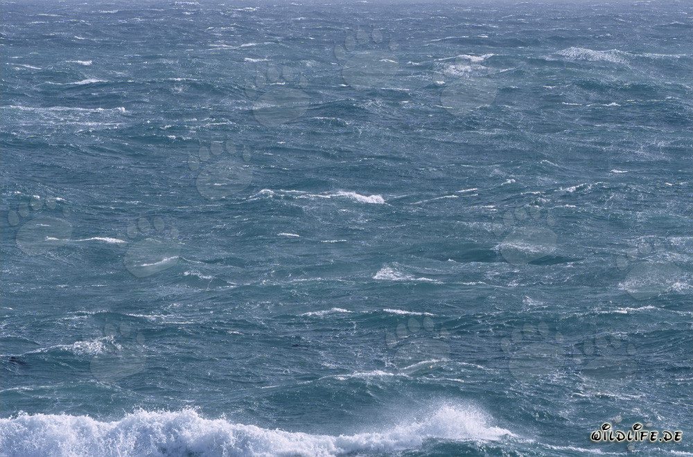 Mar tempestuoso en el extremo sur de África