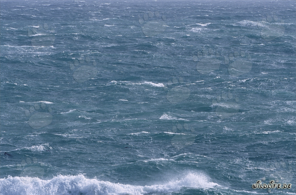 Mare agitato all'estremità meridionale dell'Africa