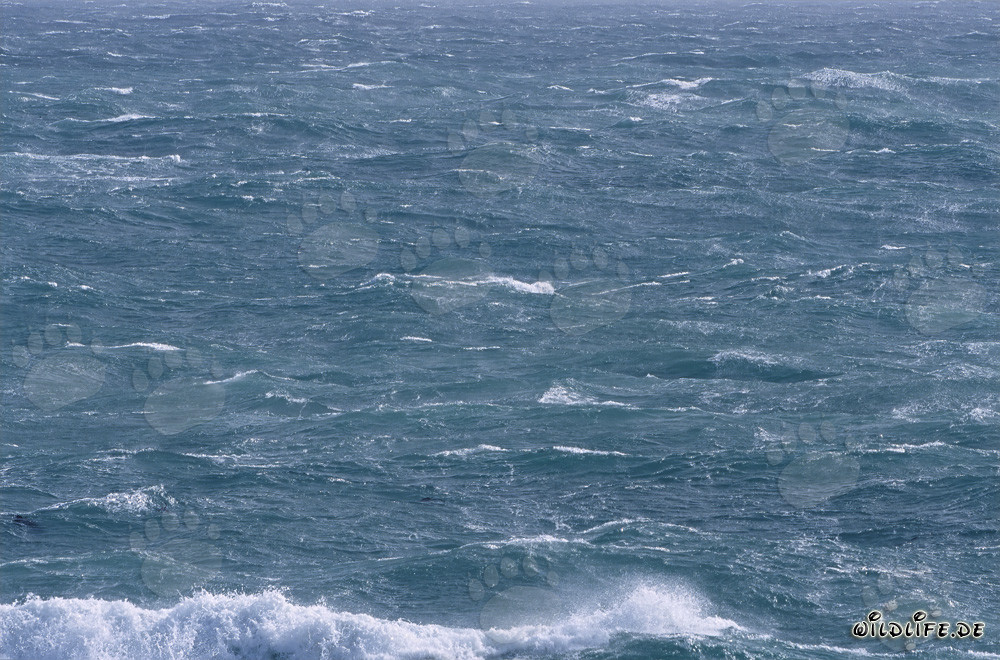 Mer agité au cap sud de l'Afrique