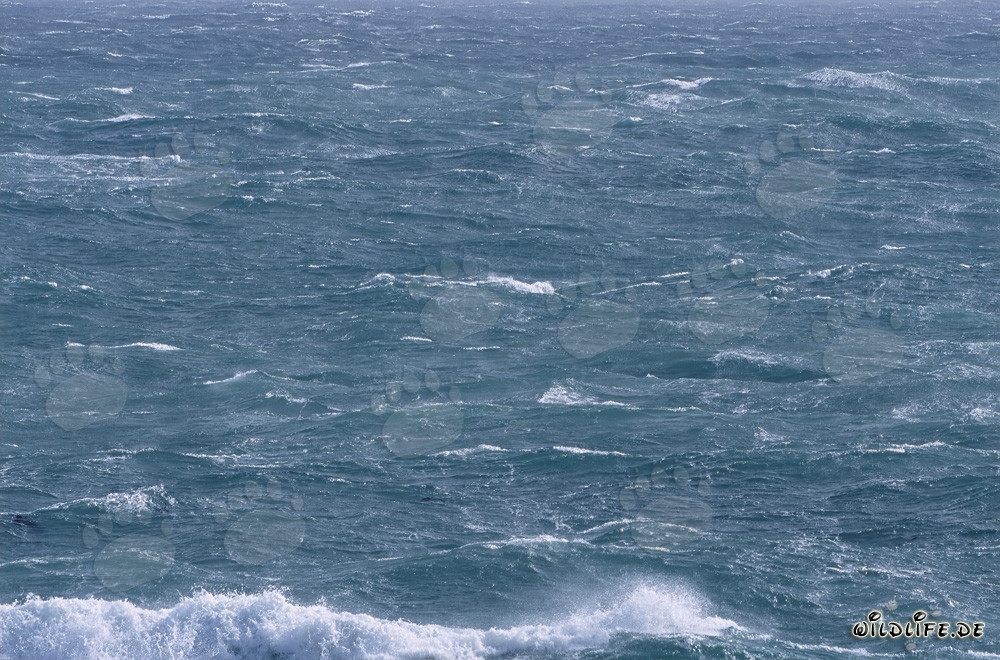 Stormy Sea at the Southern Tip of Africa