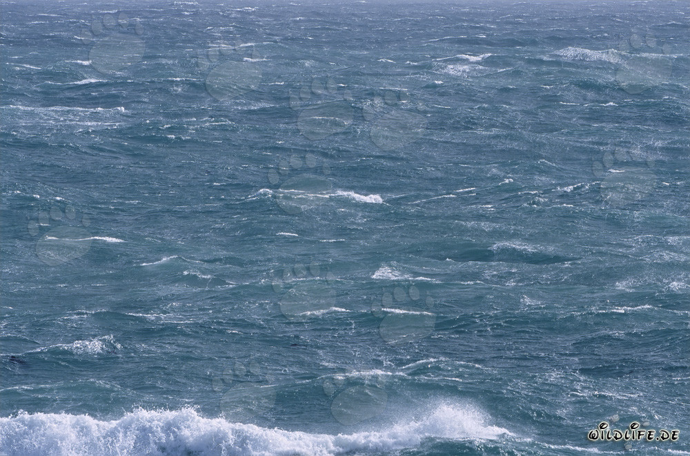 Stürmisches Meer an der Südspitze Afrikas