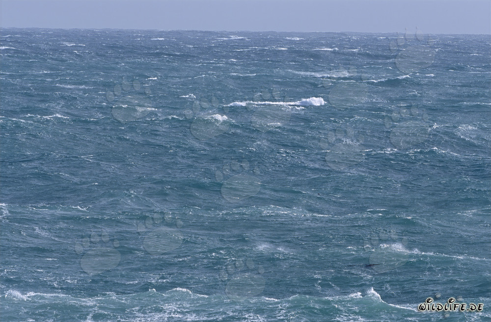 Mar tempestuoso en el extremo sur de África