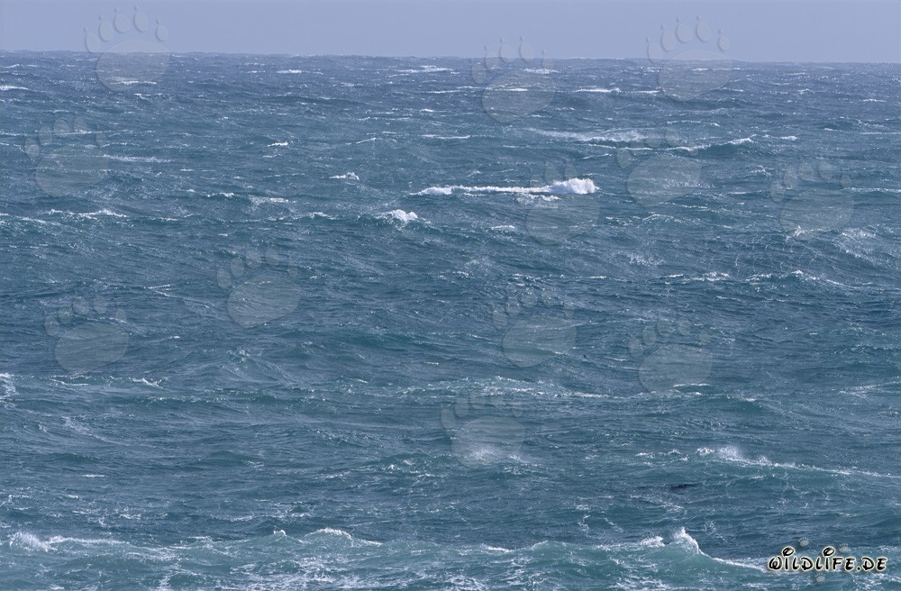 Mare tempestoso all'estremità meridionale dell'Africa