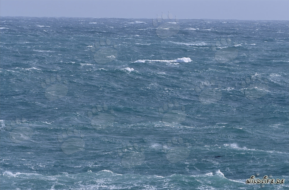 Stürmisches Meer an der Südspitze Afrikas