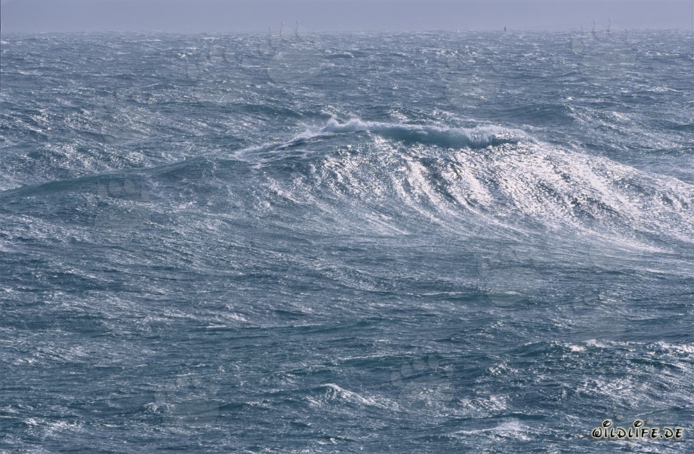 Storm at the Southern Tip of Africa