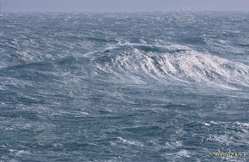 Sturm an der Südspitze Afrikas