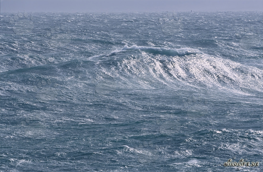 Tempesta alla punta sud dell'Africa