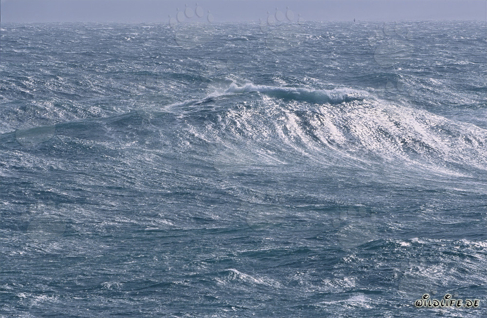 Tempête à la pointe sud de l'Afrique