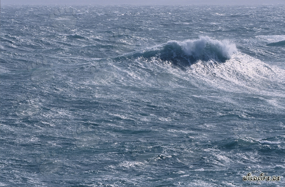 Mare agitato alla punta meridionale dell'Africa