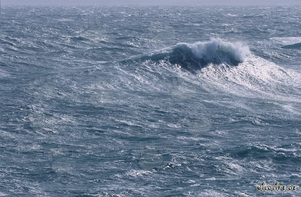 Mer agité au cap Sud de l'Afrique