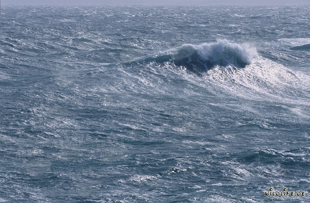 Stormy Sea at the Southern Tip of Africa