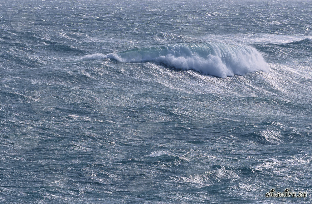 Mare tempestoso all'estremità meridionale dell'Africa