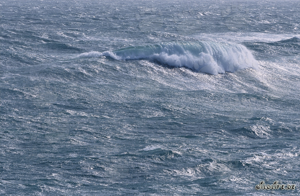 Stürmisches Meer an der Südspitze Afrikas