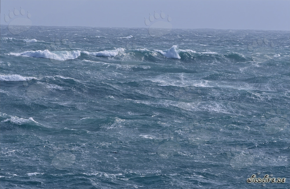 Stormy Atlantic at the Southern Tip of Africa