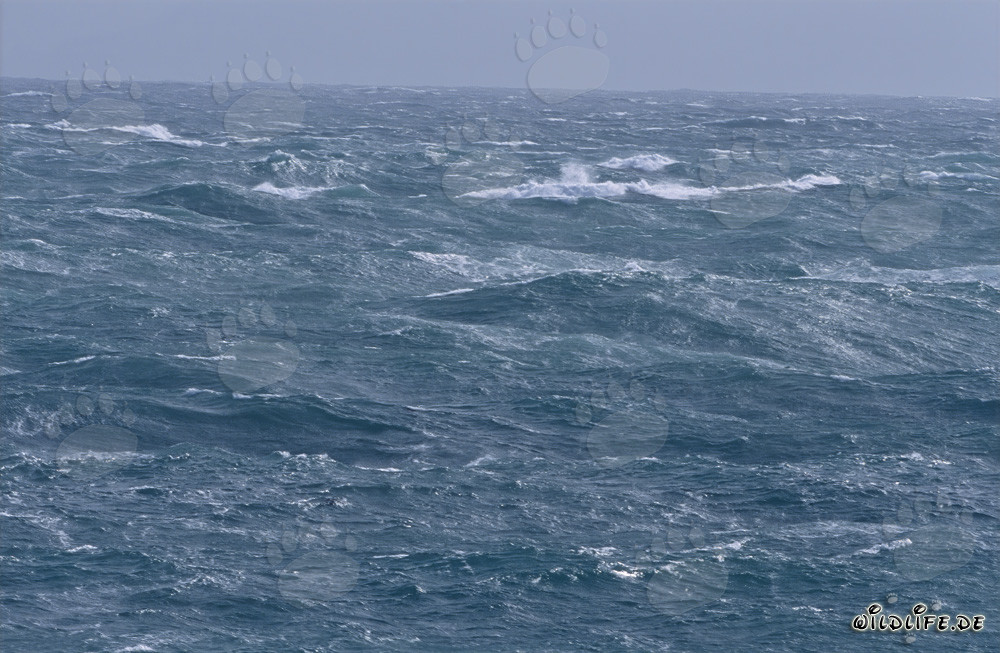 Mare in tempesta al capo meridionale dell'Africa