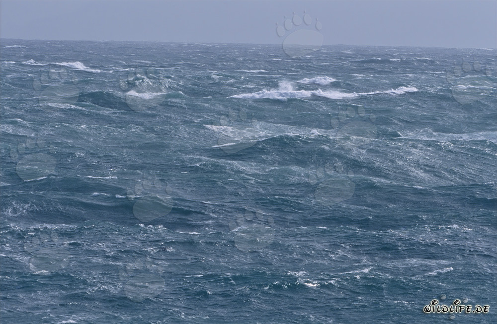 Mer agitée au cap sud de l'Afrique