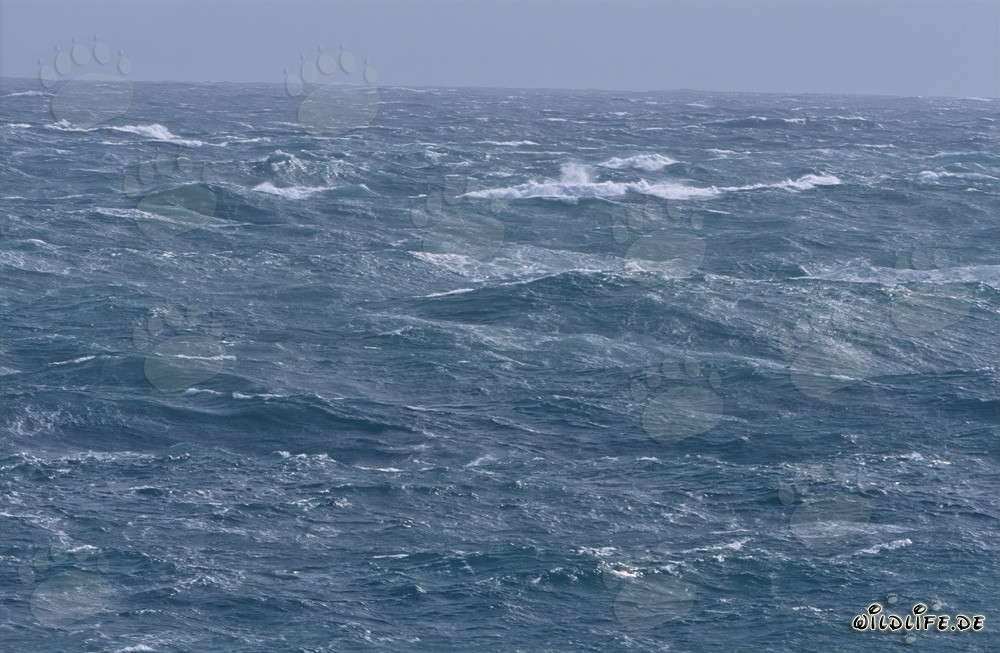 Stormy sea at the southern tip of Africa