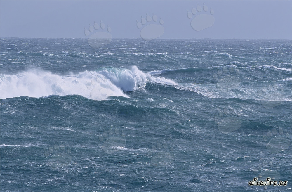 Sturm und hohe Wellen am Kap Agulhas