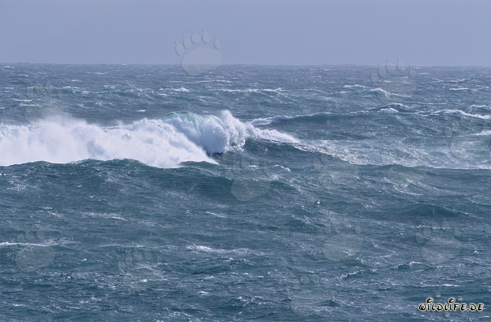 Tempesta e onde alte al Capo Agulhas
