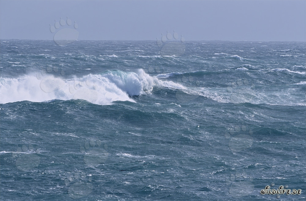 Tormenta y olas altas en el Cabo de Agujas