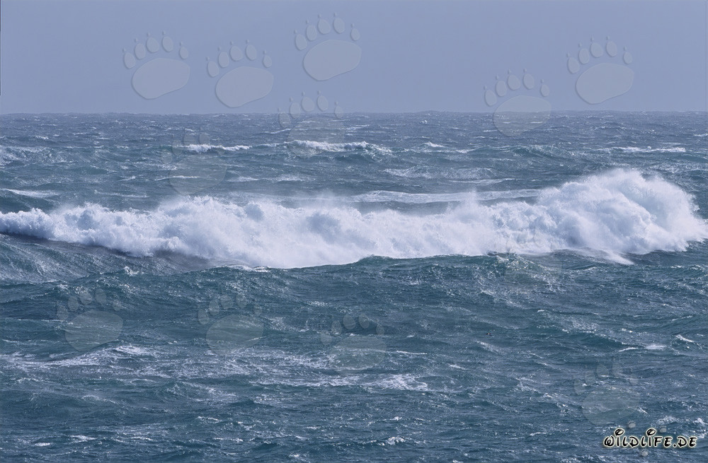 Hurricane at the Southern Tip of Africa