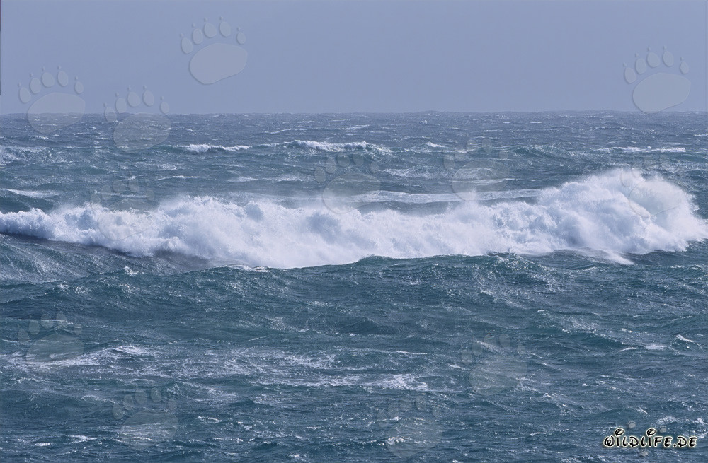 Orkan an der Suedspitze Afrikas